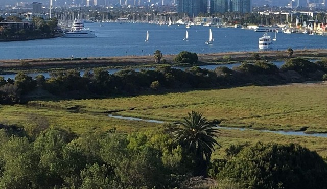 Beach Property in Los Angeles