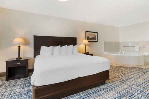 Best Western Visalia Hotel