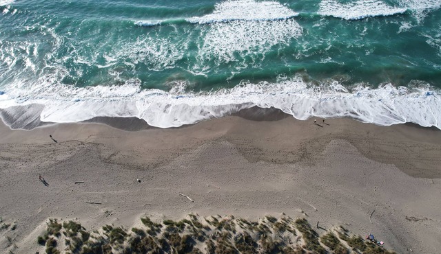 Bodega Bay - Sonoma Coastline