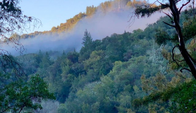 Breathtaking Napa Valley 30-day rental!