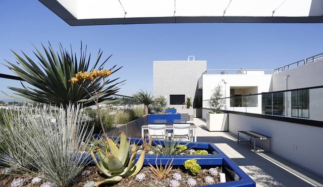 Bright Culver City 1BR w/Gym & Roof Terrace, nr 405, by Blueground