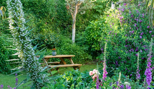 Character Coastal Cottage 5 minutes stroll to Beach/Amenities in gorran haven