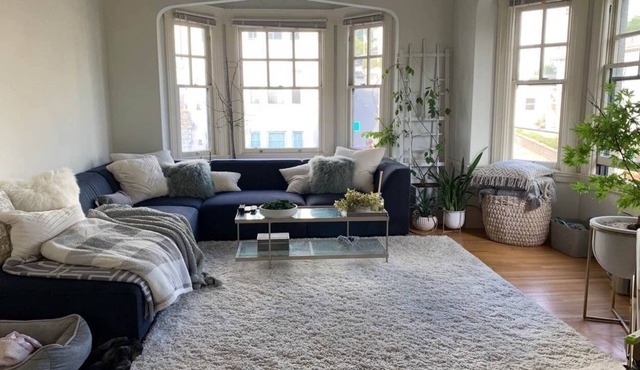 Charming Home in Pacific Heights 🌞