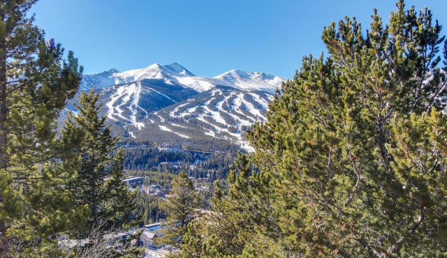 Chateau Claire Condo in Dillon