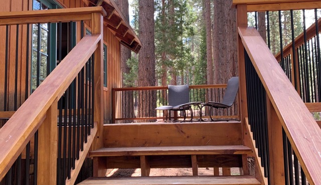 Classic Tahoe charm on National Forest. Close to Heavenly, hot tub/dog friendly