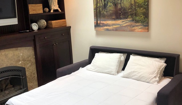 Creekside Casita walking distance to downtown San Carlos in San Carlos