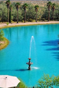 Desert Lakeside Resort