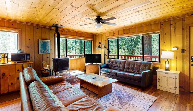 Dog-friendly mountainview cabin with free WiFi - secluded with room to roam