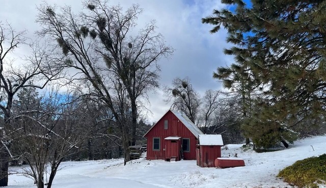EV Charging - Cozy Private Cabin 12 minutes from Kings Canyon National Park in Dunlap