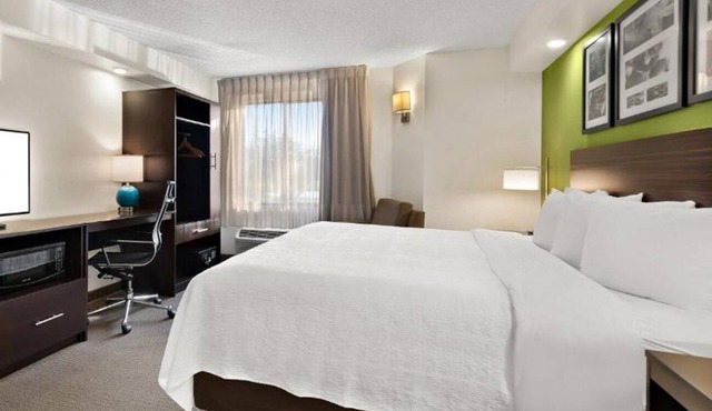 Experience Comfort, Modern Room Near I-75 | Pool in Wesley Chapel