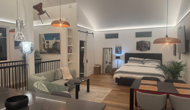 Furnished Luxury Living in downtown San Anselmo