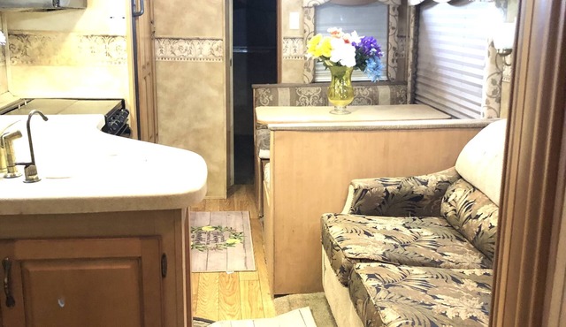 Golden California Dream E