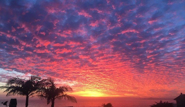 Just One House to the Beach,Spa,Views,Kid&Pet OK,4 Kings or 1 King+8Twins+3Sleep