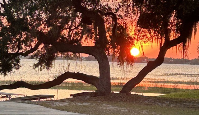 Lakeview Cottage Escape. Close to BOK Tower Gardens, Legoland and Disney