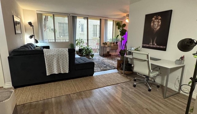 Luxury 1 bedroom vacation Apartment heart of Hollywood/Runyon Canyon