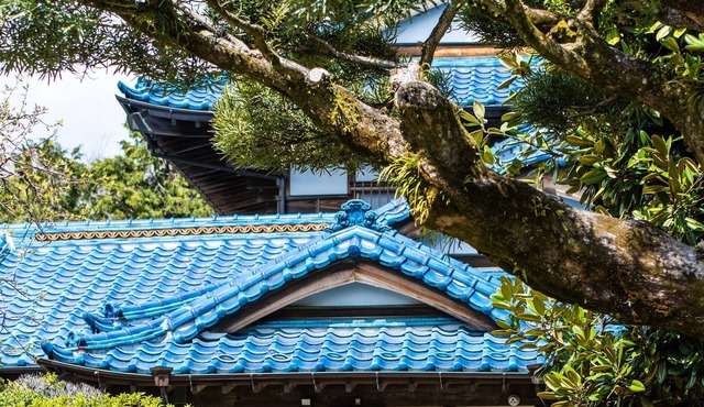 Mountain views with views, spots healed by nature in Hachioji
