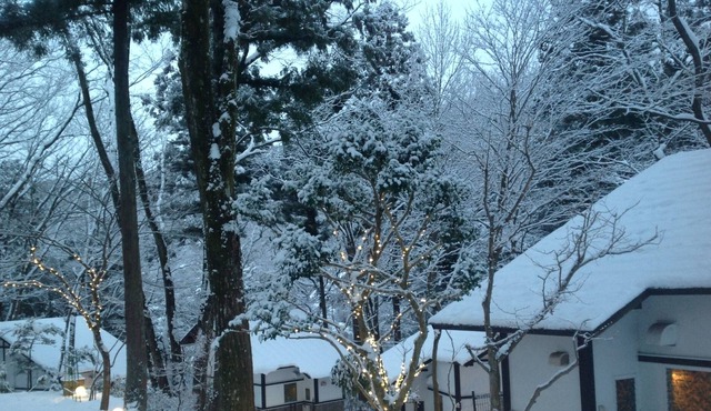 Nikko/Cottage/100MinFromCity/NearStation