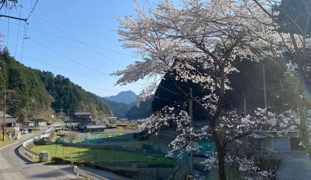 Nonsmoking HANAMIDORISuda Hotaru no Sato Gifu - Suda firefly village/Gero Gifu