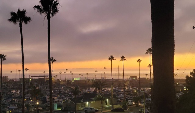 Ocean & Harbor View Condo - Newly Renovated, AMAZING View!