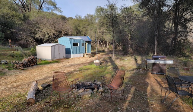 Perfect Getaway on a beautiful creek with trails, outdoor bath/shower, near town