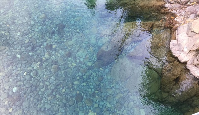Private Off Grid cabin on North Fork of Smith River - WiFi - Pet Friendly