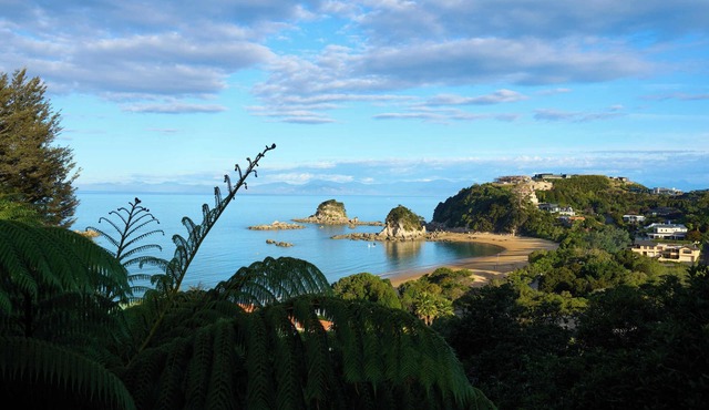 Quiet, secluded, relaxing and private with bush track to beach! in Kaiteriteri