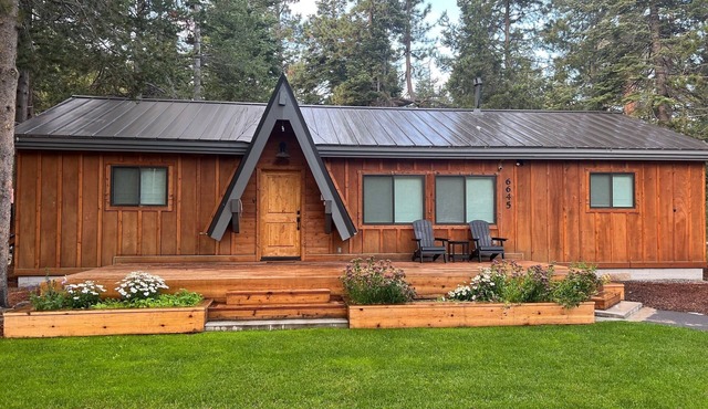 Remodeled West Shore Cabin/1 mile to Chambers Landing Beach/Near Homewood Ski