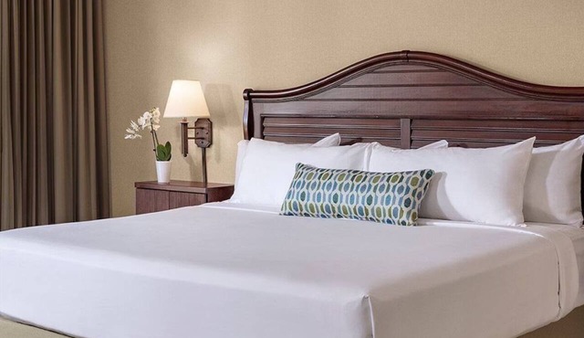 Resort King, Bahia Resort Hotel, Heated Pool, Private Beach, Near SeaWorld