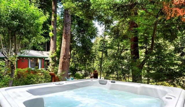 Russian River! Swimming Hole, Hot Tub~Dog-Friendly~Cozy Creek Cabin