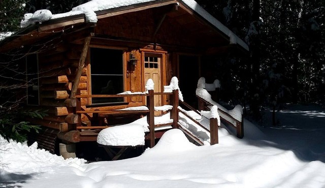 Rustic Woodland Log Cabin with Wood-Burning Stove in Nevada City, California