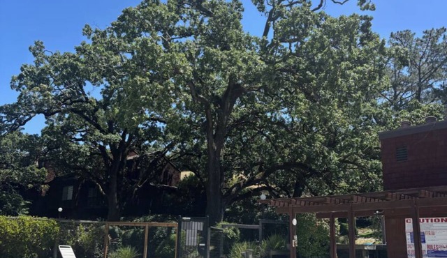 Serene 3 br townhome with pool/Hot Tub in Novato