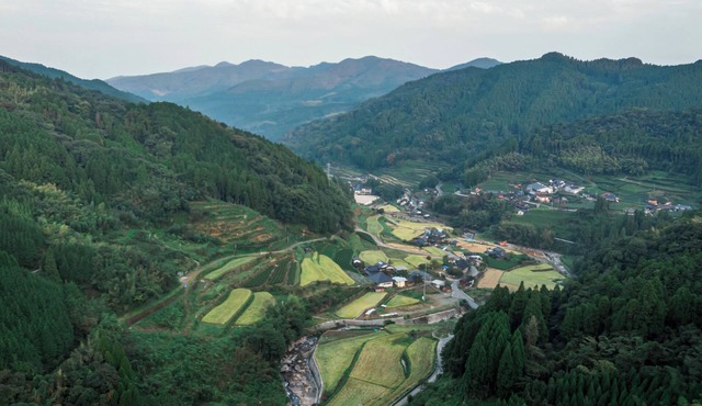 Sky Tea House
