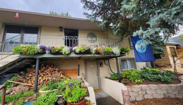 Spacious 1 bedroom, wifi, laundry, kitchen. Walk to UNR and 1/2 mile to Casinos.