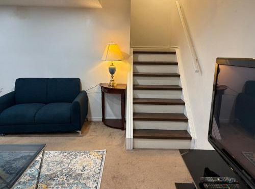 Spacious Basement Apartment in GTA in Georgetown