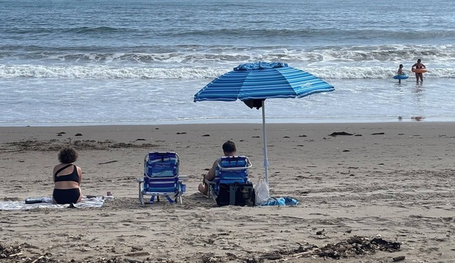 Sunny Beach Condo - Summer & Fall Dates Available! - Steps to the Beach & Linden