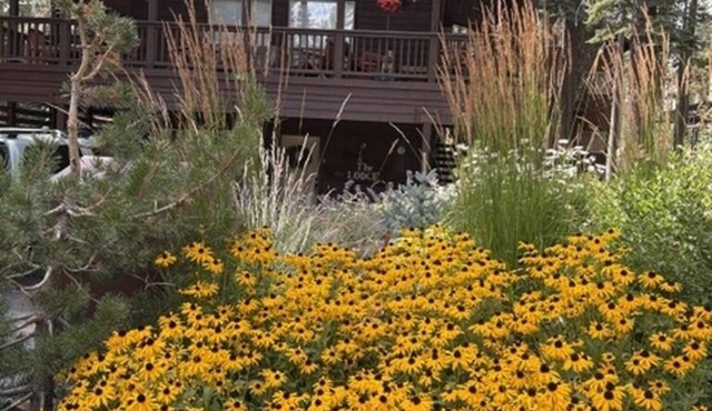 The Lodge: Comfort&Hospitality AC/4bdrm/10 beds/beach