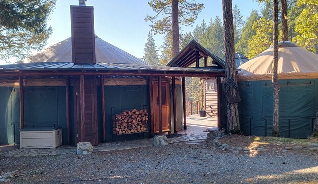 The Yurts at Rivendell - Secluded forest glamping retreat on the river