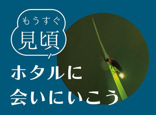 Ukiha Kojio no Akari