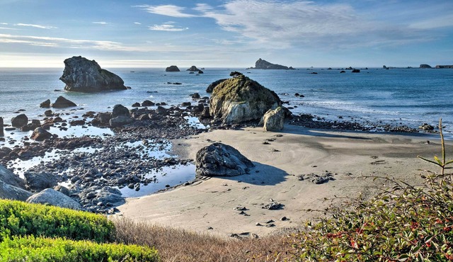 Unique Dog-friendly Log Cabin: Short Walk to Ocean