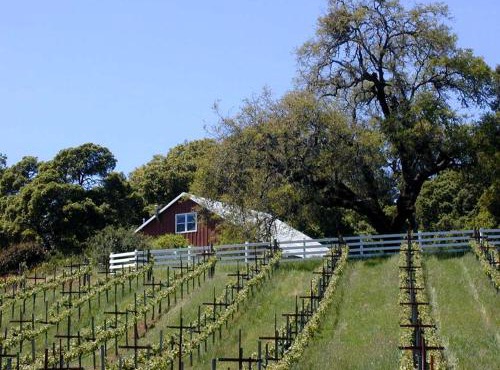 Vacation Rental with Spa and Pool on Winery near Healdsburg, California