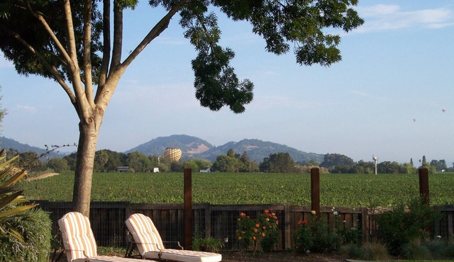VINEYARD VIEW HOT TUB PERFECT LOCATION FOR RESTARUANTS AND WINE TASTING