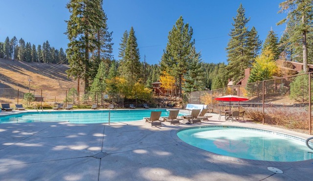 Year round Pool, Hot tub, fitness, sauna, and More! Treetop adventure park!