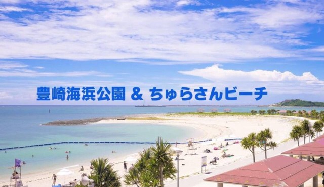 YN11 Aquarium within walking distance of the be - 101/Tomigusuku Okinawa