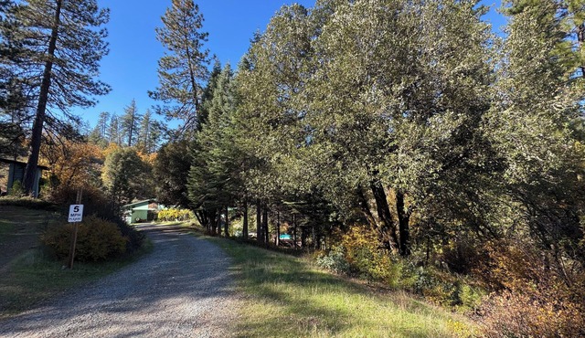 Your Spacious Escape: Creek, Pool, Hot Tub, Sauna in Enchanting Grass Valley