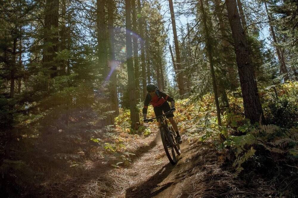Photo of Others in Redding