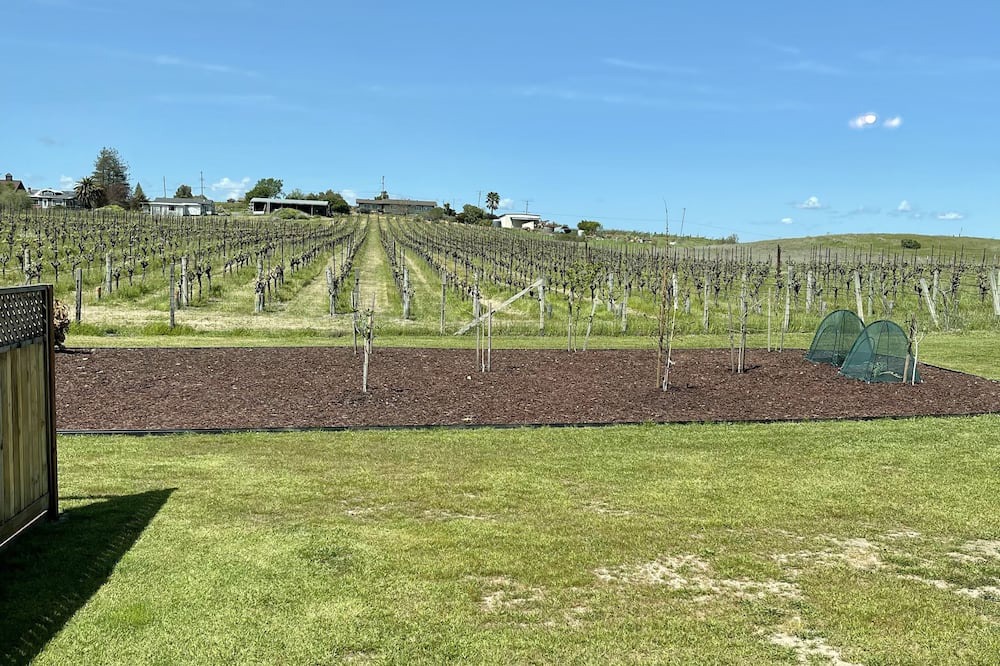 Photo of Outdoor in Napa