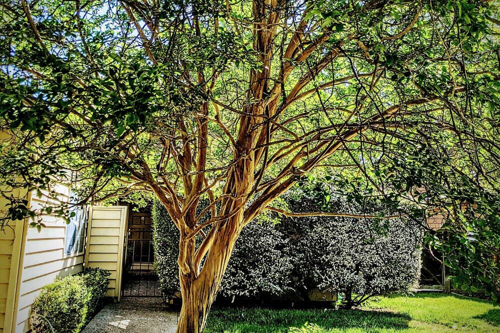Photo of Outdoor in Yountville