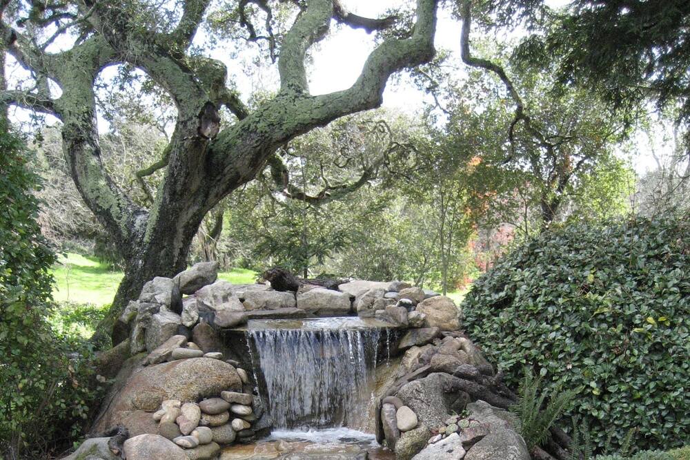 Photo of Others in Carmel Valley