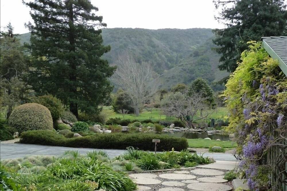 Photo of Others in Carmel Valley
