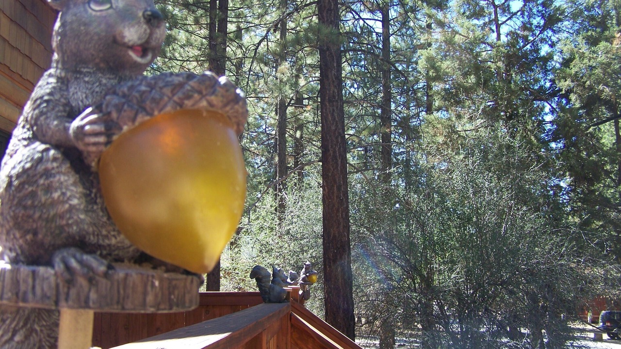 Photo of Outdoor in Big Bear City
